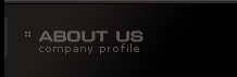 :: Company Profile